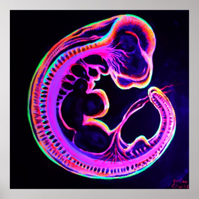 Leuchtender Embryo, der im Dunkeln leuchtet Poster (Vorne)