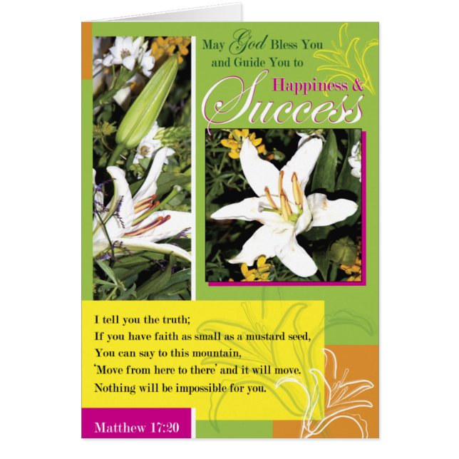 Leuchtender Lilien-Erfolg (Vorne)