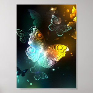 Leuchtender Schmetterling und Nachtfalter Poster