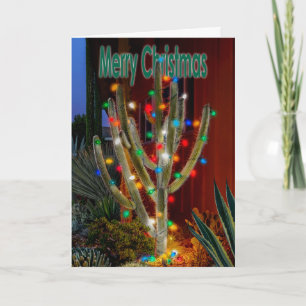 Leuchtender Weihnachtskaktus mit Frohe Weihnachten