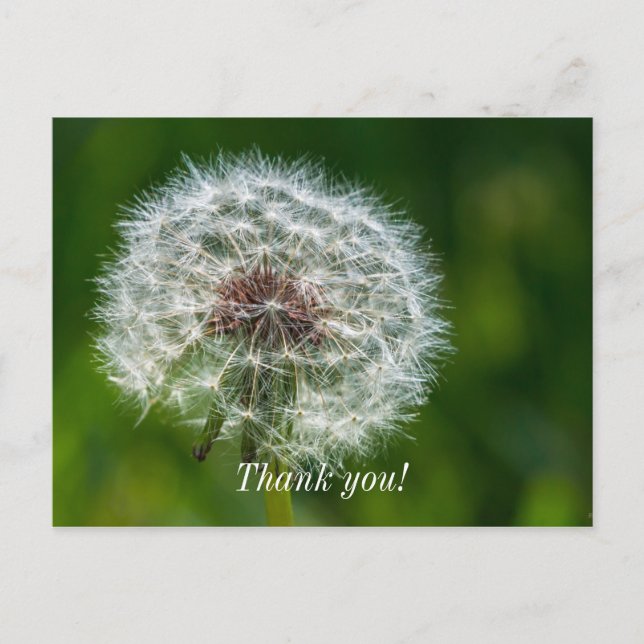 Leuchter im Licht Danke Postkarte (Vorderseite)