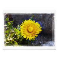 Leuchter im Sonnenlicht