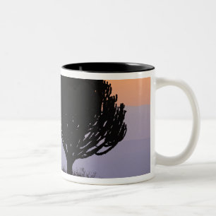 Leuchterbaum silhouettiert bei Sonnenaufgang, Zweifarbige Tasse