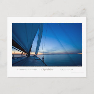 Leuchtkäfer Postkarte