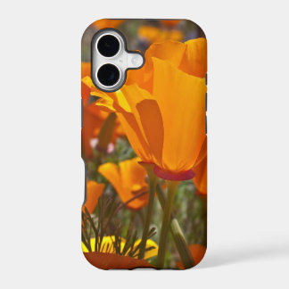 Leuchtorangekalifornien-Mohnblumen