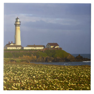 Leuchtturm am Pigeon Point State Beach in San Fliese