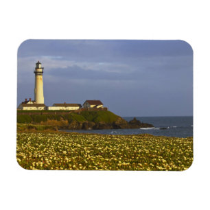 Leuchtturm am Pigeon Point State Beach in San Magnet