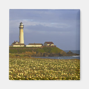 Leuchtturm am Pigeon Point State Beach in San Magnet