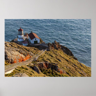 Leuchtturm an Point Reyes National Seashore Poster