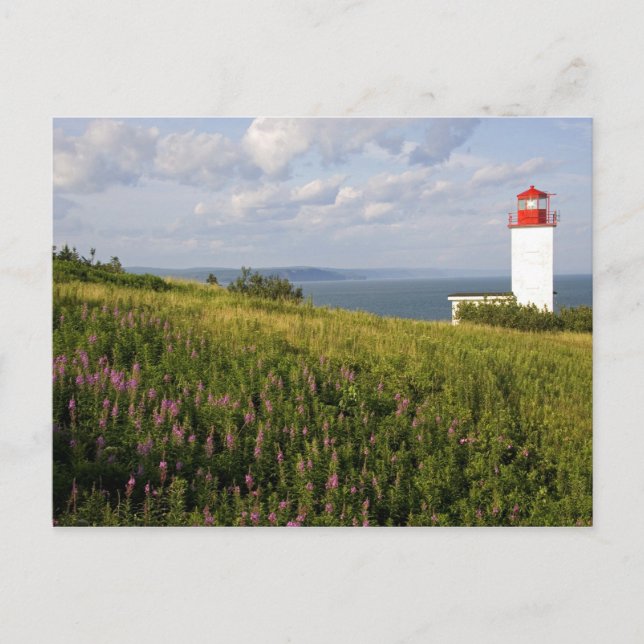 Leuchtturm in St. Martins, New Brunswick, Postkarte (Vorderseite)