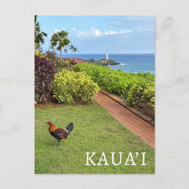 Leuchtturm Kauai Ninini Point Hawaii Postkarte (Vorderseite)
