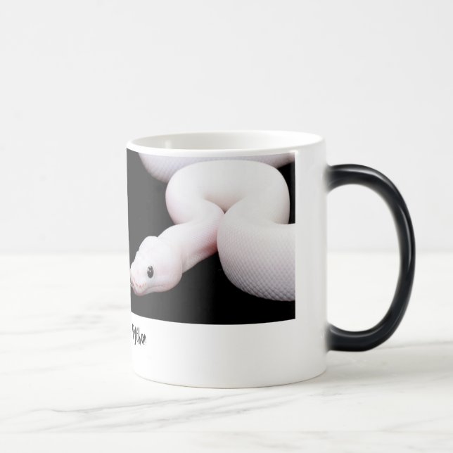 Leucistic Ball-Pythonschlange-Tasse Verwandlungstasse (Rechts)