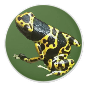 Leucolmelas Fachzug, Frosch-Türknauf-Pfeilfrosch Keramikknauf