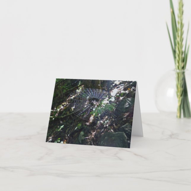 Leugge Spider Orb Web Note Card Karte (Vorderseite)