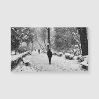 Leute im Park im schneebedeckten Wintertag