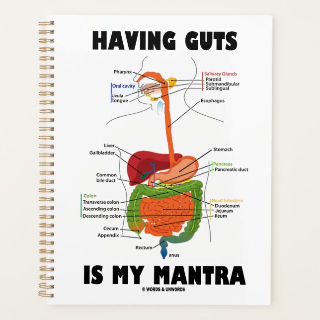 Leute zu haben ist mein mantra-didaktischer System Planer (Vorderseite)