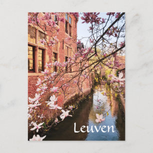Leuven Belgium Reise-   FotoPostcard Postkarte