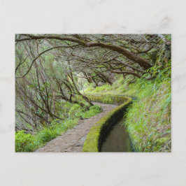 Levada das 25 Fontes Madeira Postcard Postkarte