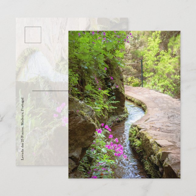Levada das 25 Fontes Madeira Postcard Postkarte (Vorne/Hinten)