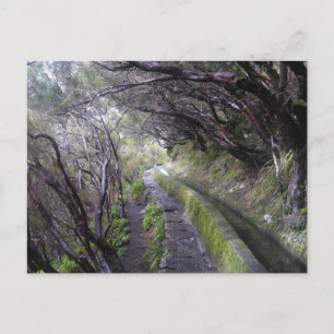 Levadas auf Madeira, Portugal Postkarte
