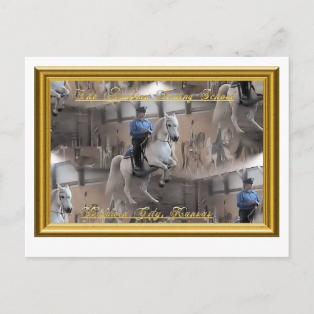 Levade mit Fahrer Postkarte (Vorderseite)