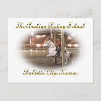 Levade mit Fahrer, Postkarte