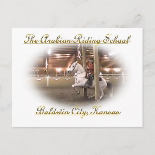 Levade mit Fahrer, Postkarte (Vorderseite)