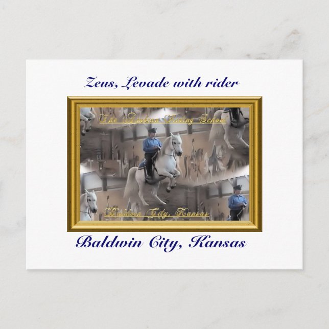 Levade Postkarte (Vorderseite)