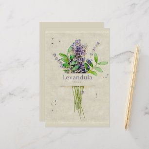 Levandula spica l. notepad