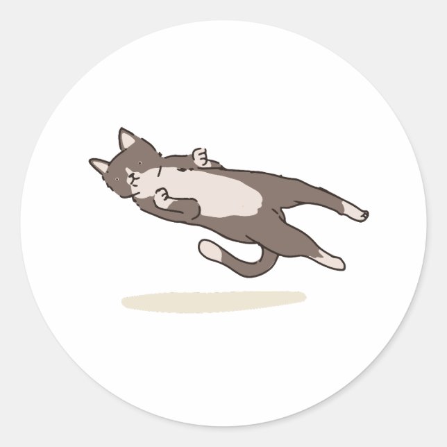 Levitating Cat sticker (Vorderseite)