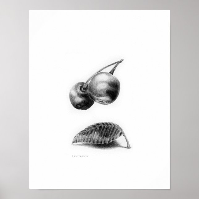 Levitation Poster (Vorne)