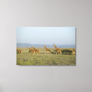 Lewa Wildlife Conservancy, Kenia Leinwanddruck