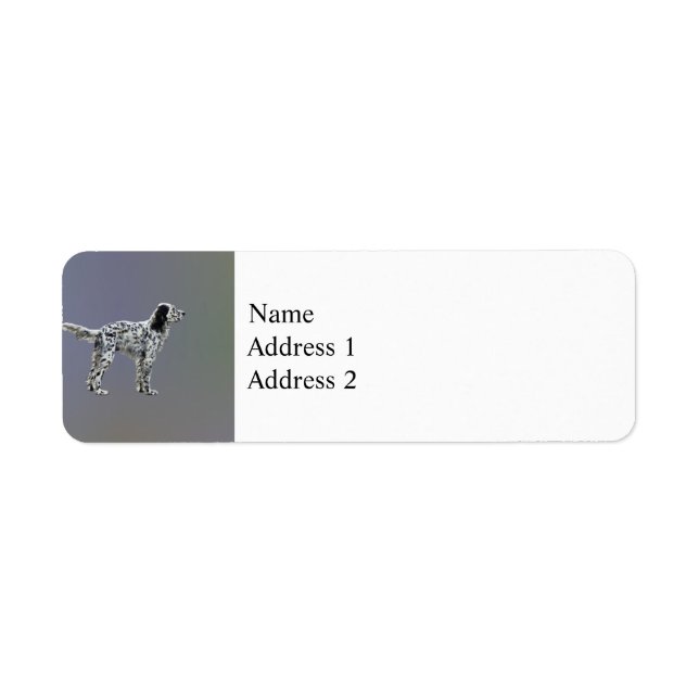 Lewellin Setter (Vorne)