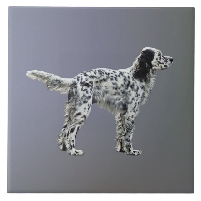 Lewellin Setter Fliese (Vorderseite)