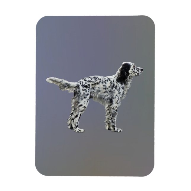 Lewellin Setter Magnet (Vertikal)