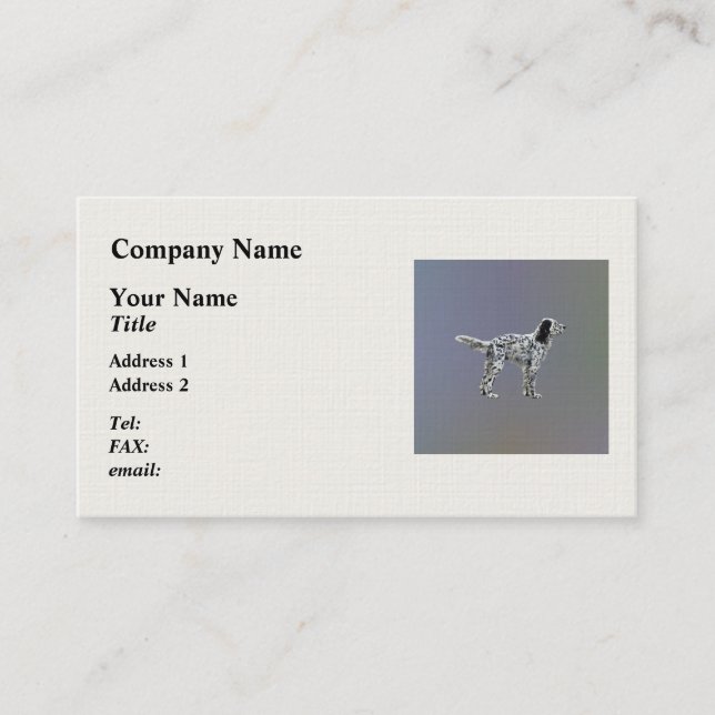 Lewellin Setter Visitenkarte (Vorderseite)