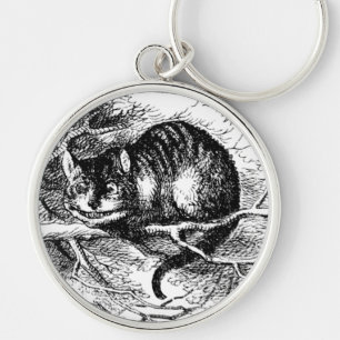 Lewis Carroll Cheshire-Katze Schlüsselanhänger