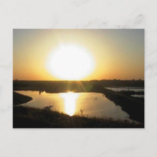 Lewis Eaton Trail Postkarte
