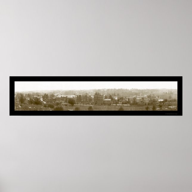 Lewisburg WV Birdseye Foto 1913 Poster (Vorne)