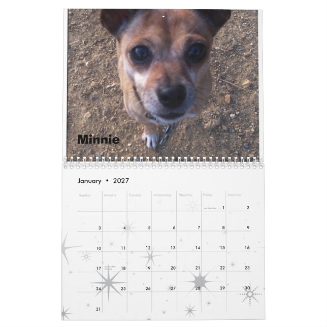 Lexi 2013 u. Freund-Hundekalender Kalender (Jan 2027)