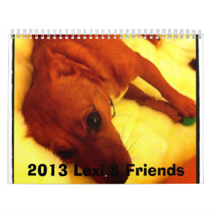 Lexi 2013 u. Freund-Hundekalender Kalender