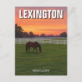 Lexington Kentucky Postcard Horse Sunset Postkarte