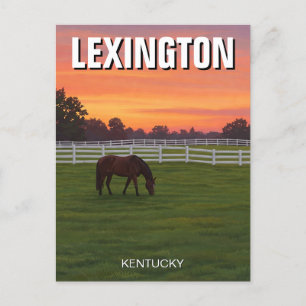 Lexington Kentucky Postcard Horse Sunset Postkarte