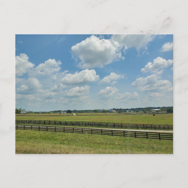 Lexington, Kentucky Postkarte (Vorderseite)