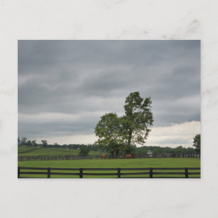 Lexington, Kentucky Postkarte