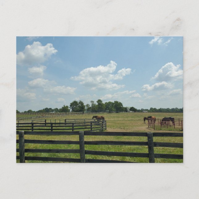 Lexington, Kentucky Postkarte (Vorderseite)