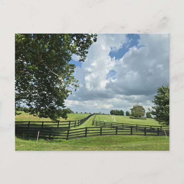 Lexington, Kentucky Postkarte (Vorderseite)