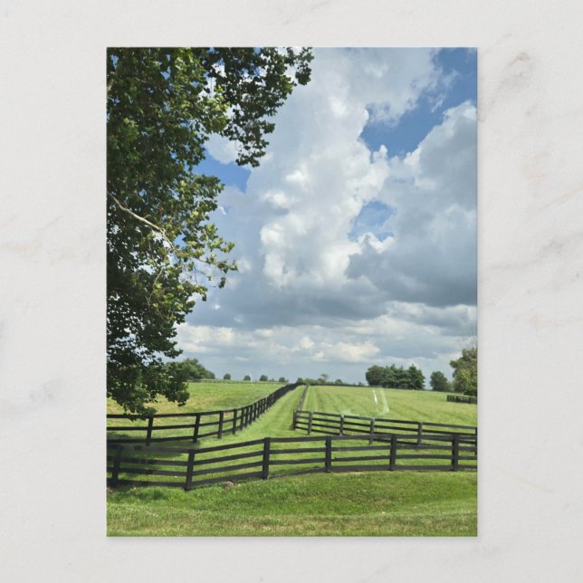 Lexington, Kentucky Postkarte (Vorderseite)