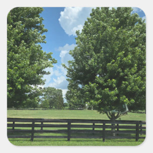 Lexington, Kentucky Quadratischer Aufkleber
