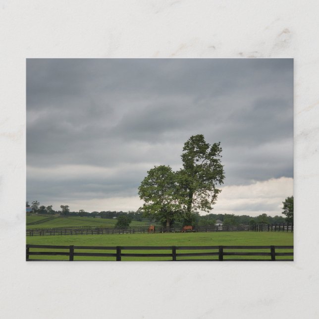 Lexington, KY Postkarte (Vorderseite)